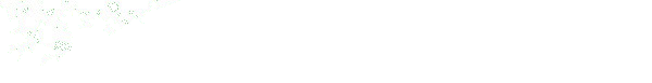 noga